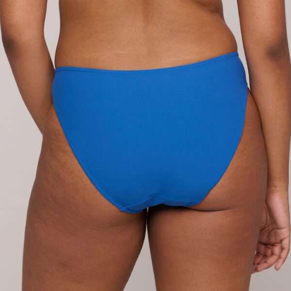 ASWAN Delphinium Cheer Blue bikini rioslip