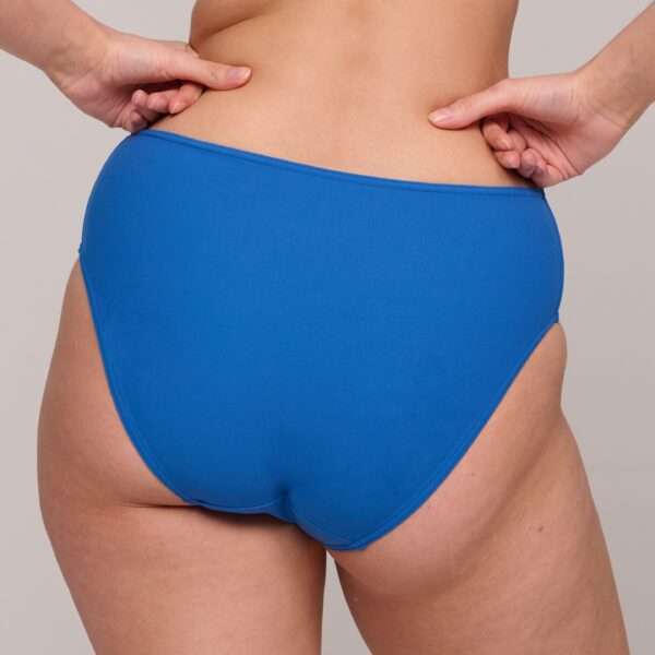 ASWAN Delphinium Cheer Blue bikini tailleslip